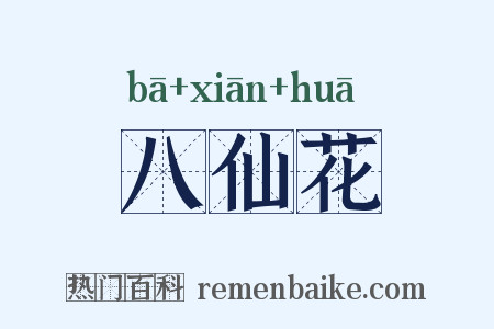 八仙花是什么意思的图片